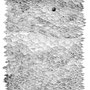 o.t. | pencil | 30 x 20 cm