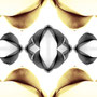 die generälin … photograph | digital development | digital print | 100 x 50cm