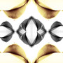 die generälin | photograph | digital development | digital print | 100 x 50 cm