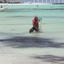 Fischer in Playa del Carmen