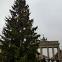 Vánoční strom u Braniborské brány, Pariser Platz