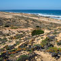 Písečné duny, Almograve, Parque Natural do Sudoeste Alentejano e Costa Vicentina