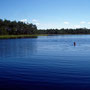 Rašelinové jezero Võhma järv, východní Estonsko