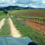 Cesta vinařskou oblastí Rioja, Španělsko