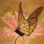 Papillon auf Gerbera (2006) 90 x 100 cm