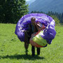 Der Paragleiter wird am Übungshang nach oben getragen  (Foto: Austriafly)