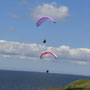 Paragliding Austriafly 2012 (Foto: Austriafly)
