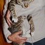 Leopold