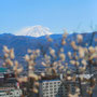 甲府不老園　富士山と梅の写真