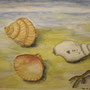 Muscheln im Sand - Aquarell von Originalen