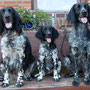 Drei Generationen: Okka, Aenna und Carlotta