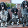 Drei Generationen: Okka, Aenna und Carlotta