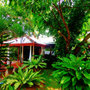 Polonnaruwa - Tishan Holiday Resort