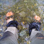 Füße kühlen/Bodensee