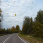 It's definitely Autumn. Cycling through falling leaves.