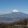 天気が良く、金時山山頂からの富士山がとてもきれいでした。