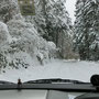 雪道をドライブ