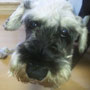 2012.11.6 フィート君が正式譲渡になりました。