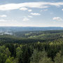 Kein Waldbrand, sondern die Schmalspurbahn - Nationalpark Harz (Panorama)