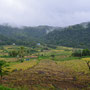 Landschaft Flores'