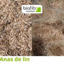 Le lin, ses anas, ses fibres