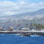 Küstenlinie bei Puerto de la Cruz