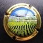 Marque : GENERIQUE  N∞ Lambert : 747c Couleur : Polychrome Description : Vignoble champenois Ref perso : 