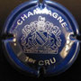 Marque : GENERIQUE  N° Lambert : 592 Couleur : Bleu foncé Description : Champagne premier cru  Ref perso : 906-05-03
