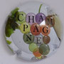 Marque : GENERIQUE  N° Lambert : 904c Couleur : Polychrome - fond blanc Description : Lettres du mot champagne dans des bulles de couleur Ref perso : 