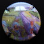 Marque : GENERIQUE  N° Lambert : 848 Couleur : Polychrome Description : Vendanges Ref perso : 934-03-04
