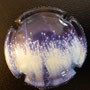 Marque : GENERIQUE  N° Lambert : 753c Couleur : Polychrome Description : Feux d'artifice  Emplacement : 