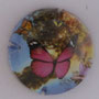 Marque : GENERIQUE  N° Lambert : 941c Couleur : Polychrome Description : Papillon Ref perso :