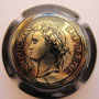 Marque : JACQUESSON N° Lambert : 21 Couleur : Noir portrait au recto Description : Cuvée Napoléon  Emplacement : 