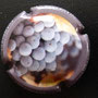 Marque : GENERIQUE  N° Lambert : 843e Couleur : Polychrome Description : Grappe de raisins  Emplacement : 