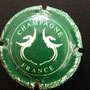 Marque : GENERIQUE  N° Lambert : 642b Couleur : Vert et blanc Description : Motif fantaisie  Ref perso : 908-07-03