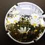 Marque : GENERIQUE  N° Lambert : 769a Couleur : Polychrome Description : Tournesol Ref perso : 