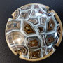 Marque : GENERIQUE  N° Lambert : 788b Couleur : Polychrome Description : Peau d'animal  Ref perso : 924-05-01