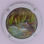 Marque : JANISSON - BARANDON & fils N° Lambert : 46c Couleur : Polychrome Description : Le poisson Emplacement : 