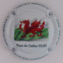 Marque : CHEMIN Roger N° Lambert : 3b Couleur : Fond blanc Description : Drapeau Pays de Galles  Emplacement : 
