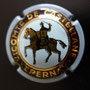 Marque : CASTELLANE (de) N° Lambert : 27 Couleur : Gris. Cercle intérieur bleu Description : Chevalier avec cotte de maille  Emplacement : 034-02-01
