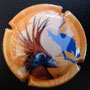 Marque : GENERIQUE  N° Lambert : 785b Couleur : Polychrome Description : 2010 Année de la biodiversité - Hoazin Emplacement : 