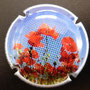 Marque : GENERIQUE  N° Lambert : 769 Couleur : Polychrome Description : Coquelicot Ref perso : 