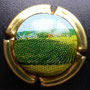 Marque : GENERIQUE  N∞ Lambert : 747bCouleur : Polychrome Description : Vignoble champenois Ref perso : 