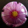 Marque : GENERIQUE  N° Lambert : 871a Couleur : Polychrome Description : Les fleurs -   Emplacement : 