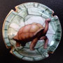 Marque : GENERIQUE  N° Lambert : 785d Couleur : Polychrome Description : 2010 Année de la biodiversité - Tortue Emplacement : 