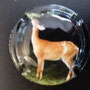 Marque : GENERIQUE  N° Lambert : 842a Couleur : Polychrome Description : Cuvée chasse - Biche  Emplacement : 
