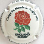 Marque : MONT HAUBAN (du)   N° Lambert : 20c Couleur : Fond blanc - Angleterre "La Rose" Description : Coupe du monde de rugby 2015 - Nom de la marque Emplacement : 
