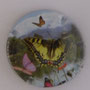 Marque : GENERIQUE  N° Lambert : 941a Couleur : Polychrome Description : Papillon Ref perso :