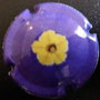 Marque : GENERIQUE  N° Lambert : 867b Couleur : Polychrome Description : Les fleurs -   Emplacement : 