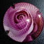 Marque : GENERIQUE  N° Lambert : 870 Couleur : Polychrome   Description : la rose  Ref perso : 936-03-03